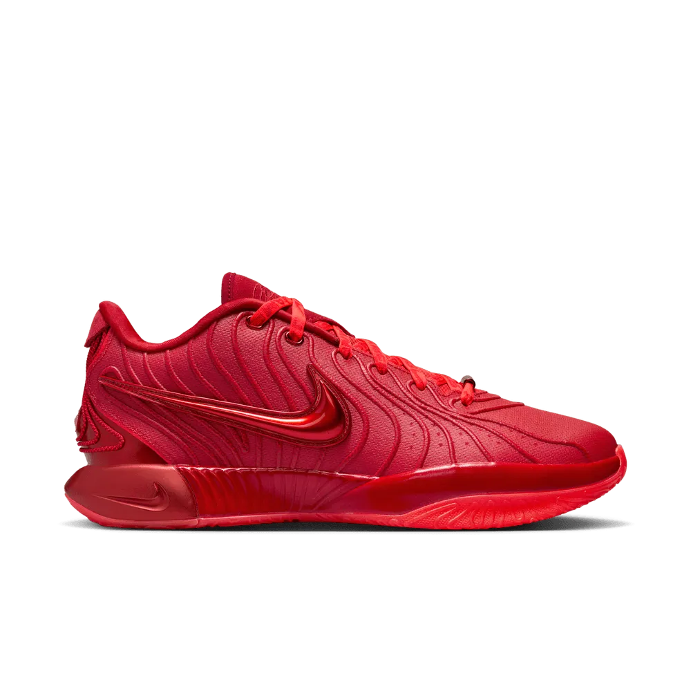 Nike LeBron 21 James Gang