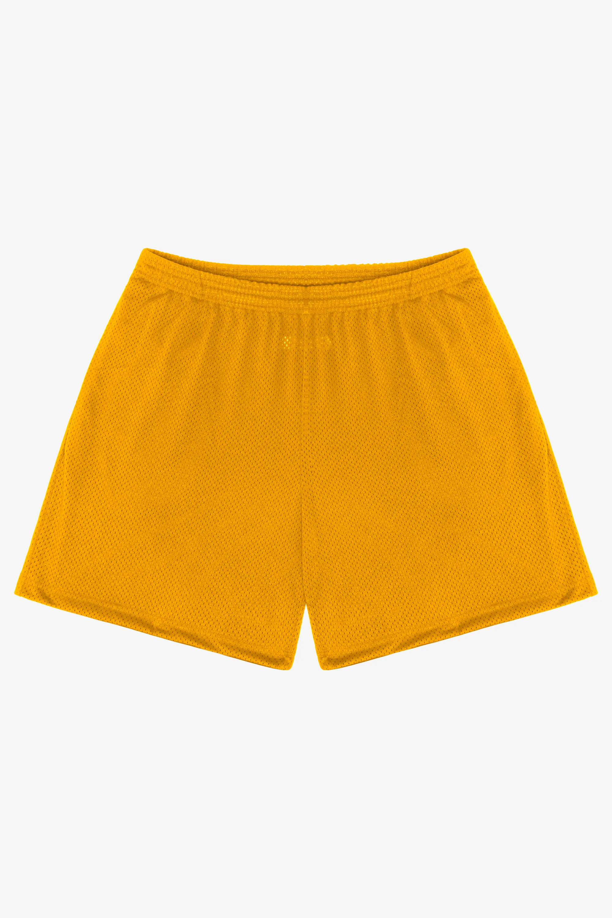 PRM442 - Pro Mesh Gym Shorts